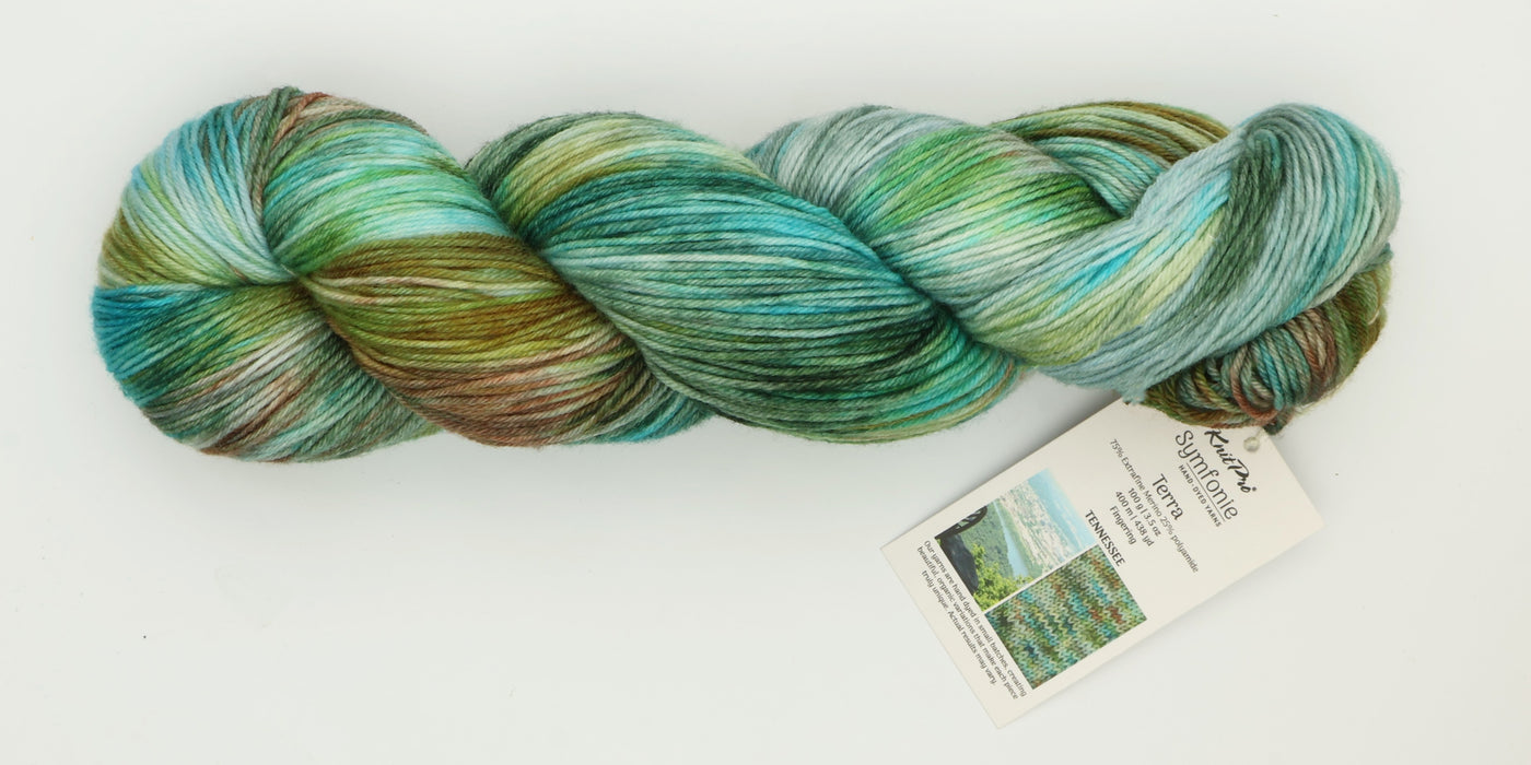 Symfonie Hand Dyed Yarns - Terra Variegated (Superwash Merino & Nylon Sock Yarn) - Tennessee (3.5 oz / 438 yds)