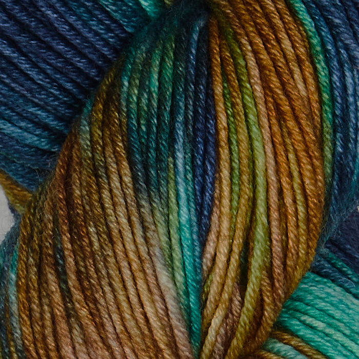 Symfonie Hand Dyed Yarns - Viva Variegated - Superwash Merino DK - Riverbank