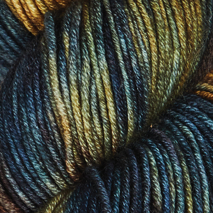 Symfonie Hand Dyed Yarns - Viva Variegated - Superwash Merino DK - Wilderness