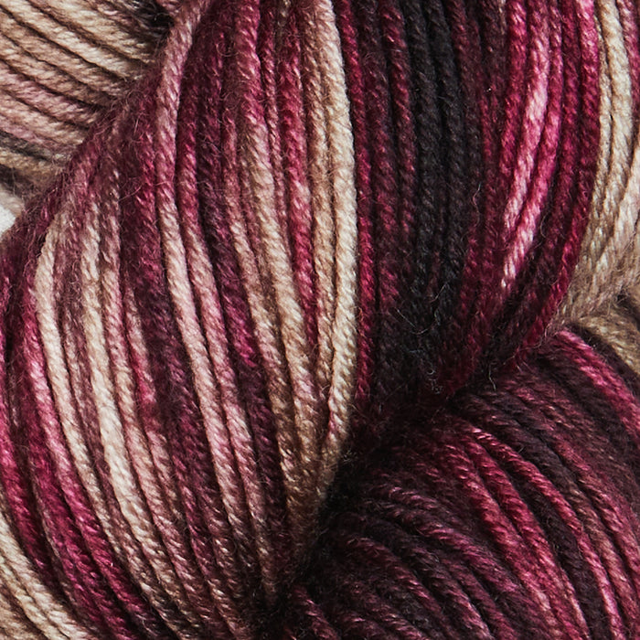 Symfonie Hand Dyed Yarns - Viva Variegated - Superwash Merino DK - Cafe Rose