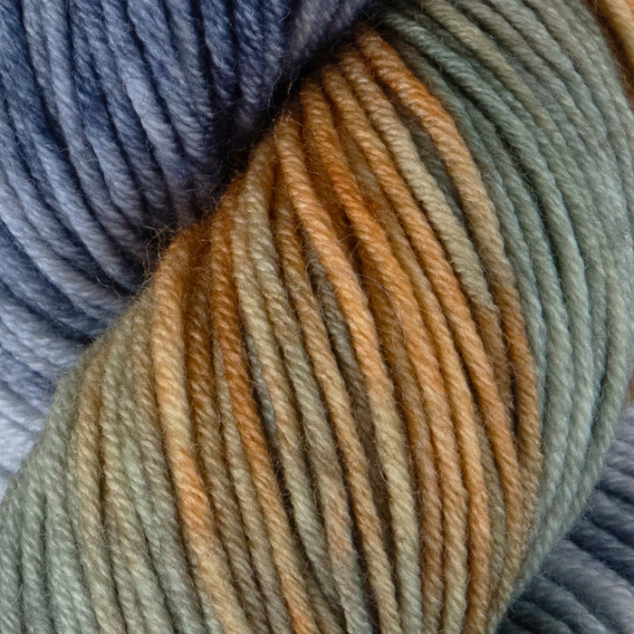 Symfonie Hand Dyed Yarns - Viva Variegated - Superwash Merino DK - NY NY