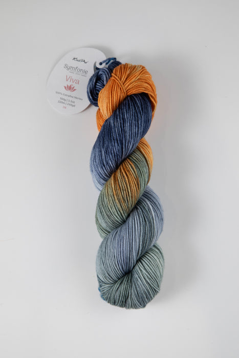 Symfonie Hand Dyed Yarns - Viva Variegated - Superwash Merino DK - NY NY
