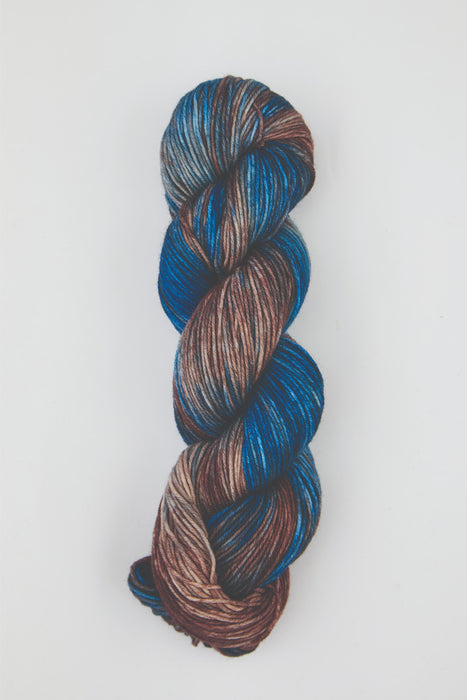 Symfonie Hand Dyed Yarns - Viva Variegated - Superwash Merino DK - Cabin in the Woods