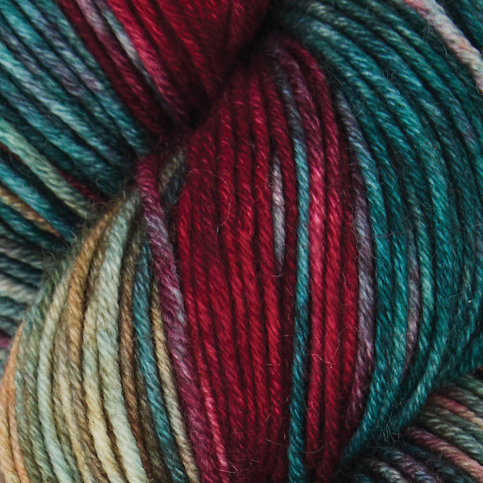 Symfonie Hand Dyed Yarns - Viva Variegated - Superwash Merino DK - Old Delhi