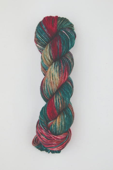 Symfonie Hand Dyed Yarns - Viva Variegated - Superwash Merino DK - Old Delhi