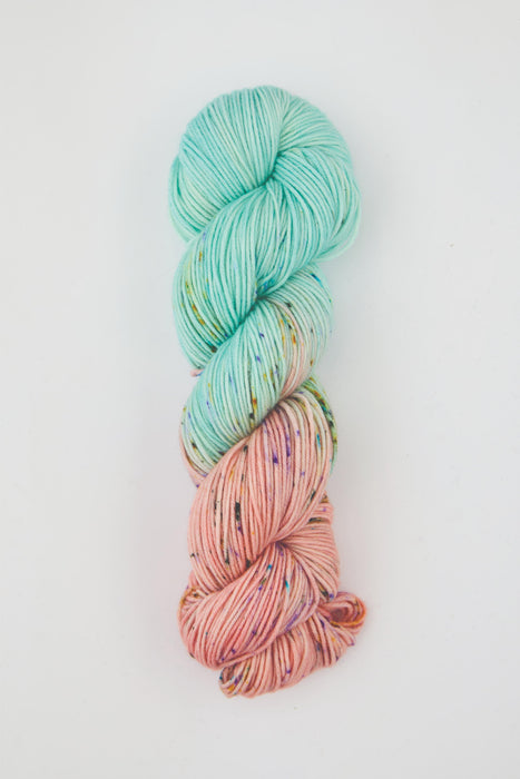 Symfonie Hand Dyed Yarns - Viva Variegated - Superwash Merino DK - Bonnie Blooms