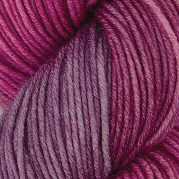 Symfonie Hand Dyed Yarns - Viva Variegated - Superwash Merino DK - Autumn Rose