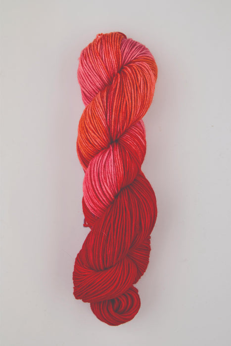 Symfonie Hand Dyed Yarns - Viva Variegated - Superwash Merino DK - Berry Bowl