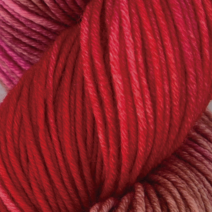 Symfonie Hand Dyed Yarns - Viva Variegated - Superwash Merino DK - Rhubarb