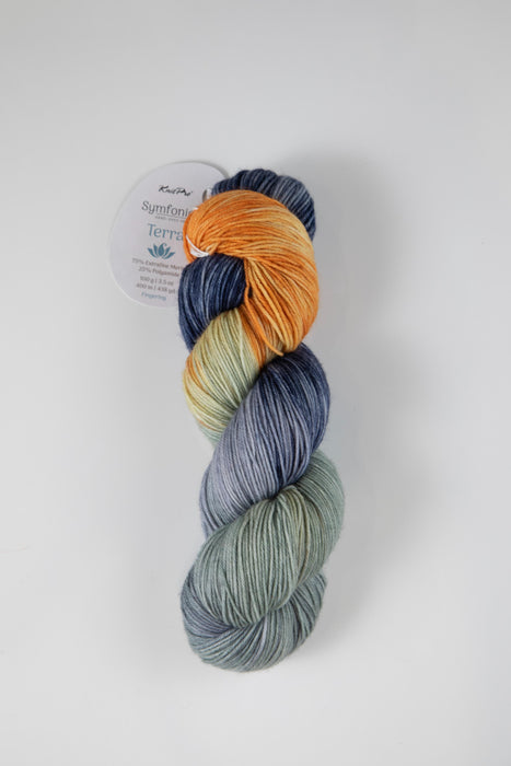 Symfonie Hand Dyed Yarns - Terra Variegated (Superwash Merino & Nylon Sock Yarn) - New York New York