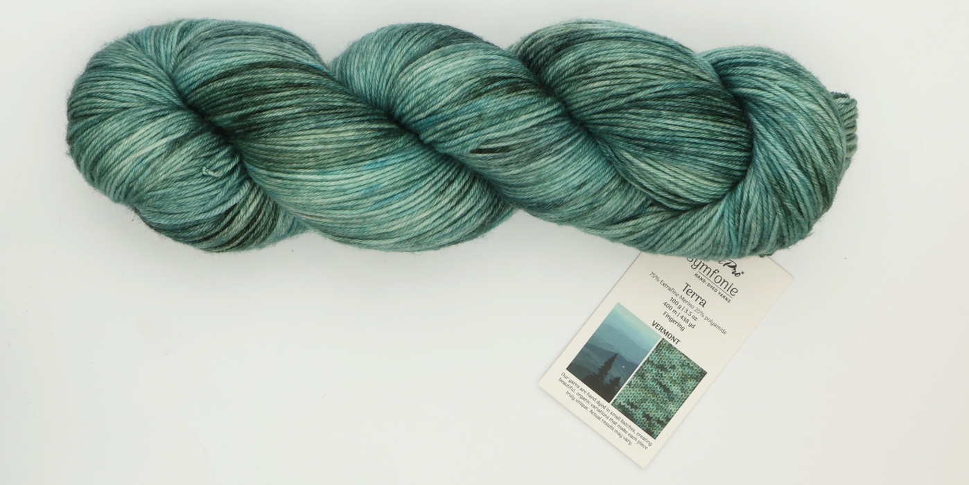 Symfonie Hand Dyed Yarns - Terra Variegated (Superwash Merino & Nylon Sock Yarn) - Vermont (3.5 oz / 438 yds)