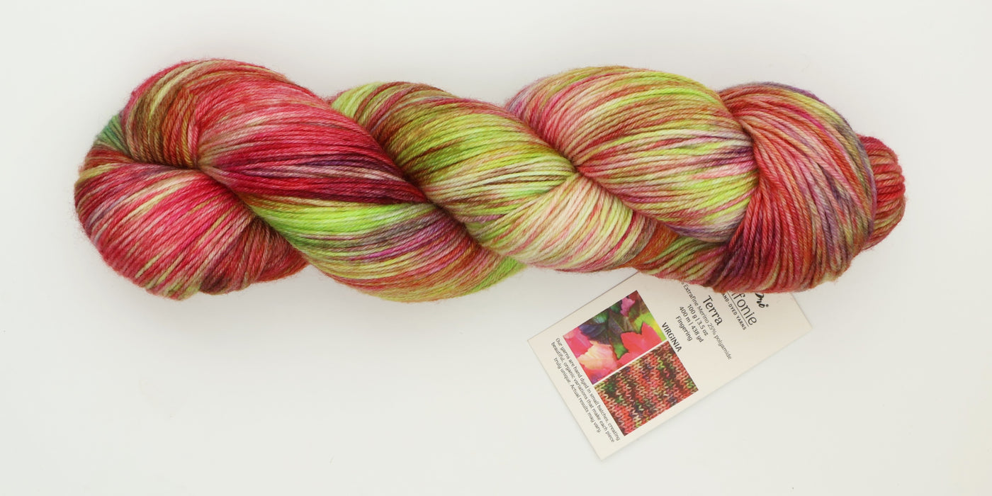 Symfonie Hand Dyed Yarns - Terra Variegated (Superwash Merino & Nylon Sock Yarn) - Virginia  (3.5 oz / 438 yds)