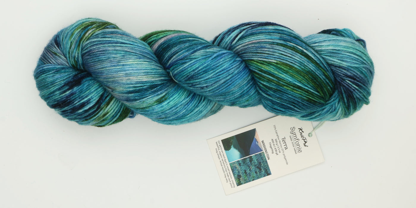 Symfonie Hand Dyed Yarns - Terra Variegated (Superwash Merino & Nylon Sock Yarn) - Washington (3.5 oz / 438 yds)