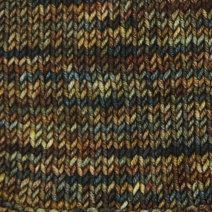 Symfonie Hand Dyed Yarns - Viva Variegated - Superwash Merino DK - Wilderness