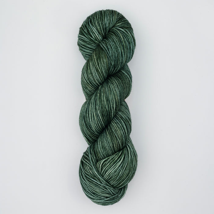 Symfonie Hand Dyed Yarns - Viva Variegated - Superwash Merino DK - Willow