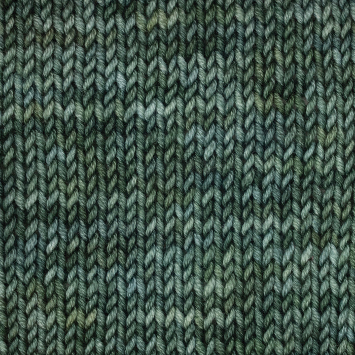 Symfonie Hand Dyed Yarns - Viva Variegated - Superwash Merino DK - Willow
