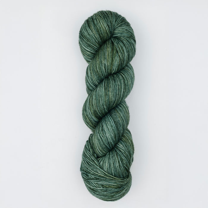 Symfonie Hand Dyed Yarns - Terra Variegated (Superwash Merino & Nylon Sock Yarn) - Willow