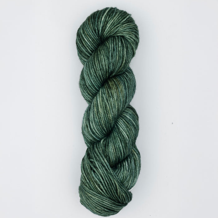 Symfonie Hand Dyed Yarns -  Bella Variegated - Extrafine Merino (Worsted) - Willow