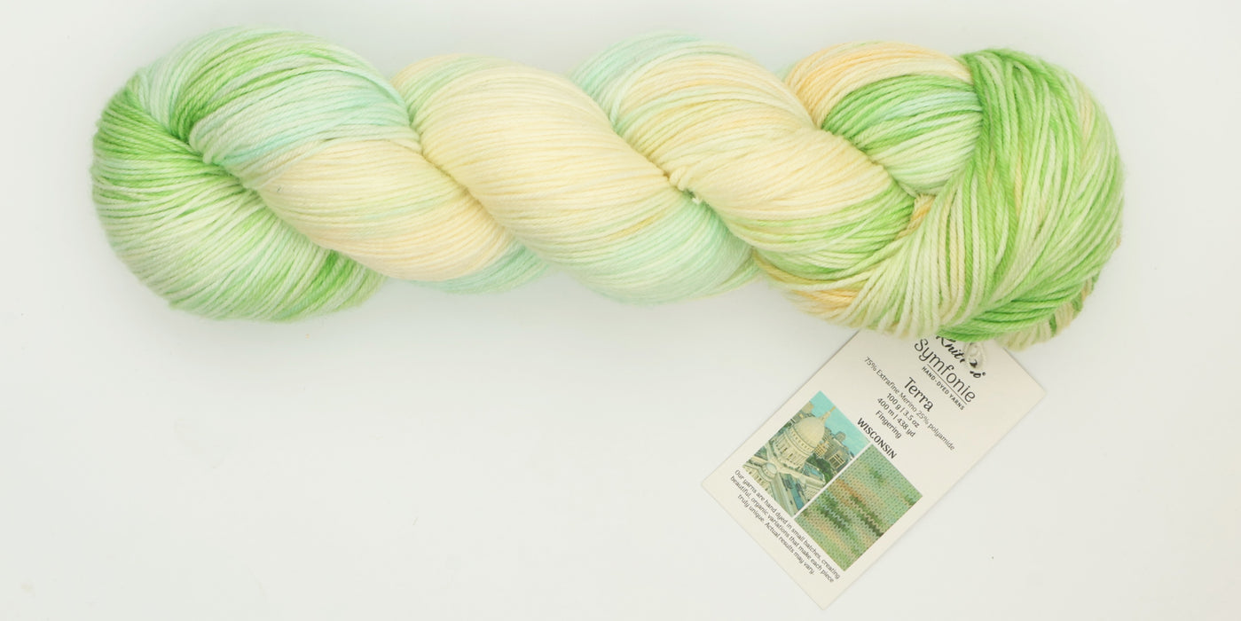 Symfonie Hand Dyed Yarns - Terra Variegated (Superwash Merino & Nylon Sock Yarn) - Wisconsin (3.5 oz / 438 yds)