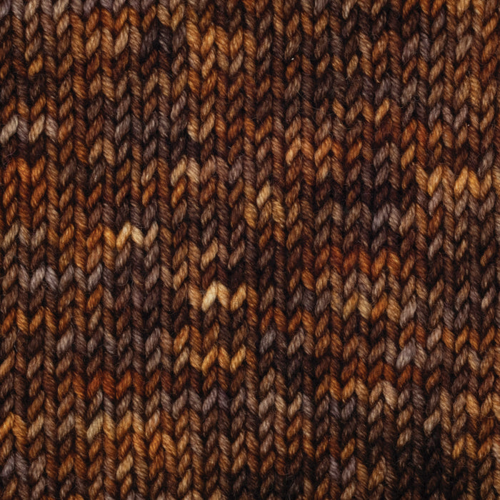 Symfonie Hand Dyed Yarns - Viva Variegated - Superwash Merino DK - Woodland