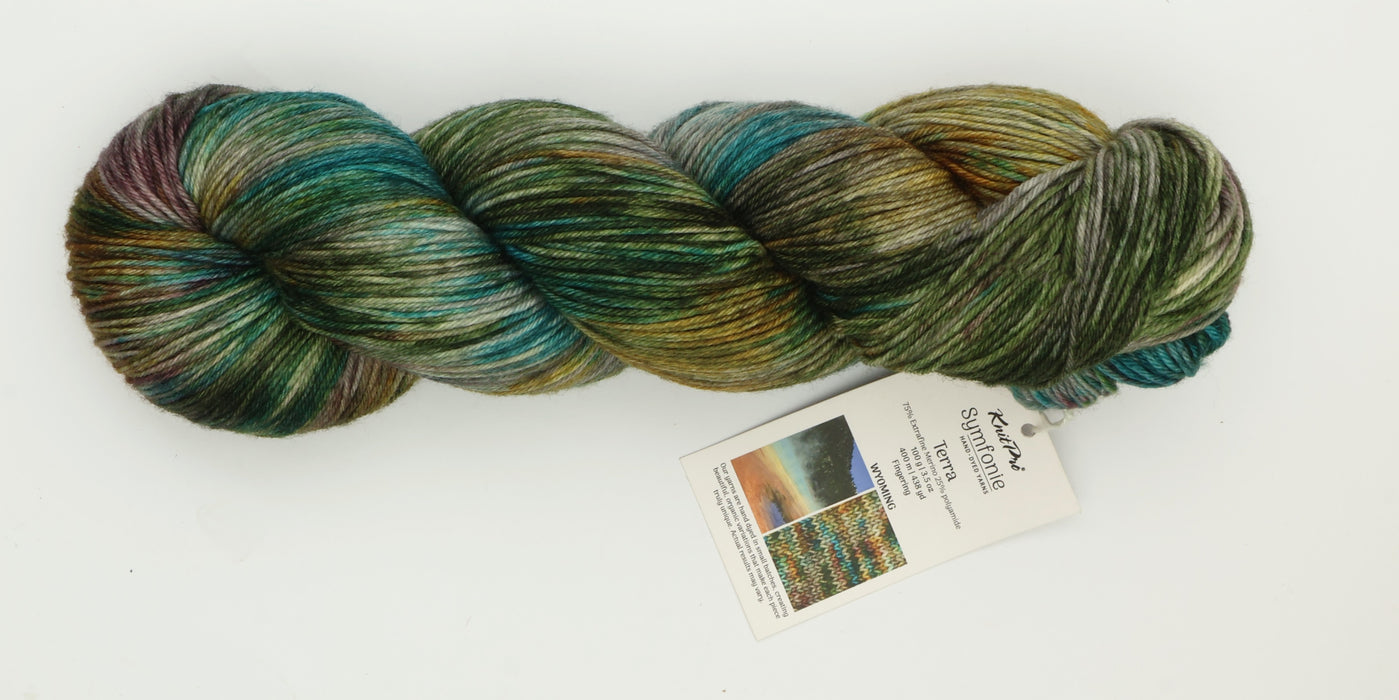Symfonie Hand Dyed Yarns - Terra Variegated (Superwash Merino & Nylon Sock Yarn) - Wyoming (3.5 oz / 438 yds)