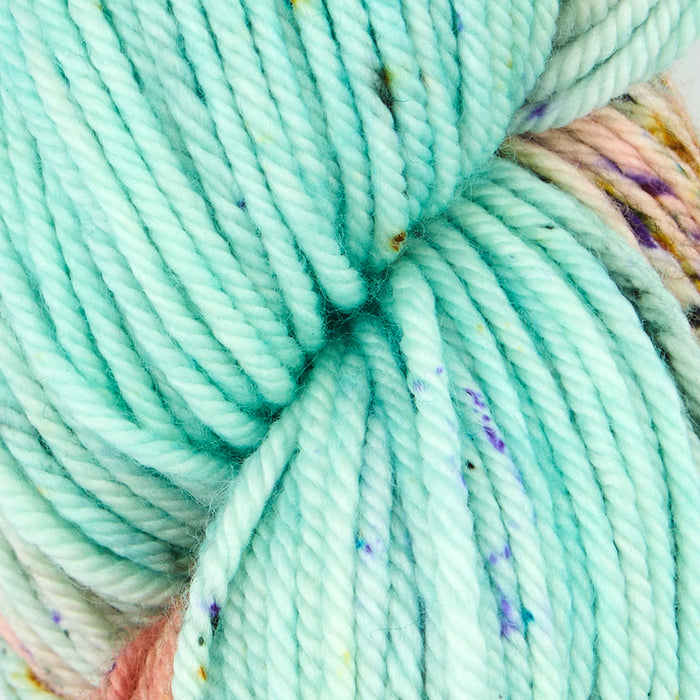 Symfonie Hand Dyed Yarns -  Bella Variegated - Extrafine Merino (Worsted) - Bonnie Blooms