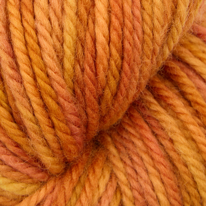 Oxford - VJ Variegated Worsted Yarn - Autumn Leaves 4 oz. skein (approx. 131 yds)