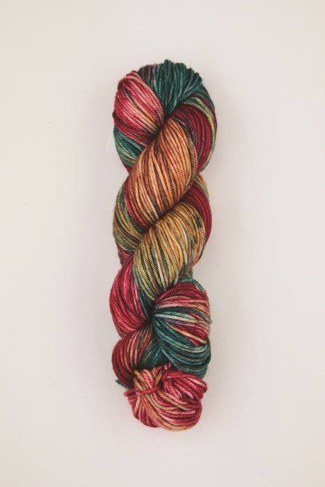Symfonie Hand Dyed Yarns -  Bella Variegated - Extrafine Merino (Worsted) - Old Delhi
