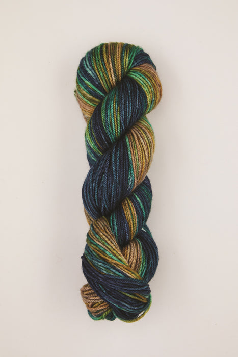 Symfonie Hand Dyed Yarns -  Bella Variegated - Extrafine Merino (Worsted) - Riverbank